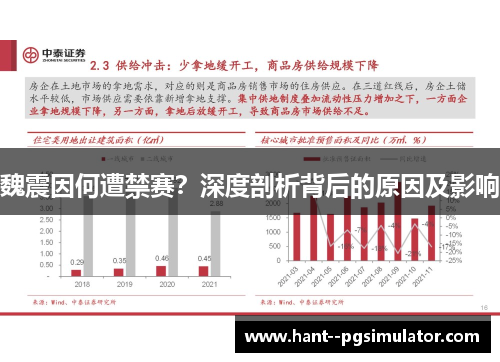 魏震因何遭禁赛？深度剖析背后的原因及影响