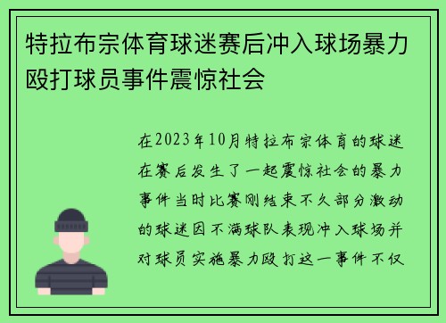 特拉布宗体育球迷赛后冲入球场暴力殴打球员事件震惊社会